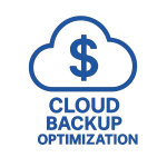 Cloud Cost Optimization